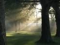Avevo ancor dentro la luce