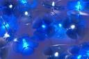 Petali d luce