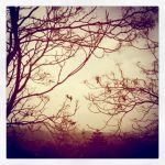 Inverno  