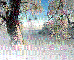 Il silenzio della neve