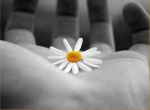 La felicit� riflessa