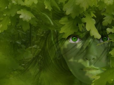 Am�lie