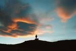 Vivere