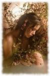 La finestra sulle rose