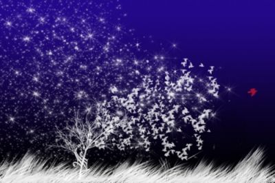 Polvere di stelle