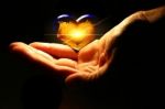 Un amore che nasce