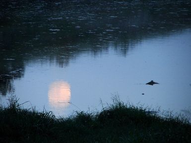Riflesso di te