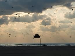 Respirando amore