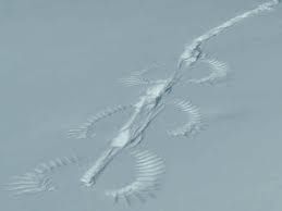 Imperfect snow
