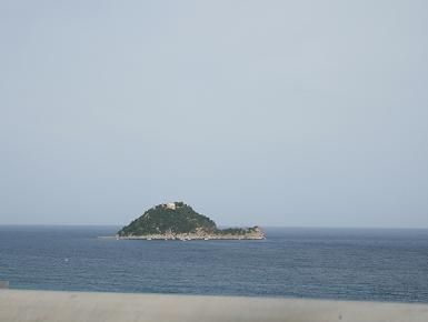 Oggi
