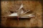 Quel libro