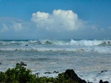 Nel mare