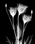 Intimit�
