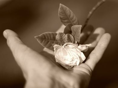 Un fiore in mano  