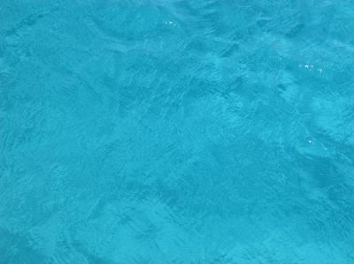 Sar� mare  