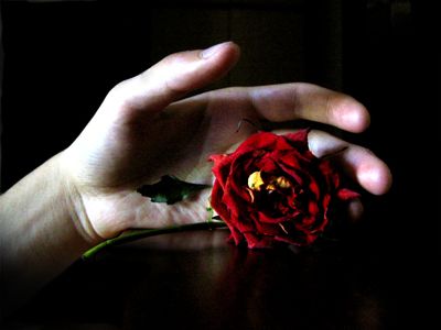 R�slein rot