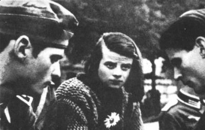 Die wei�e Rose  