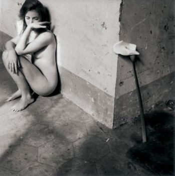 Violato amore  