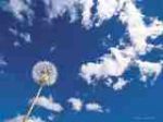 Azzurro cielo