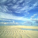 Sar� cielo