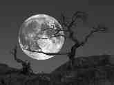 La chimica segreta dei raggi di luna