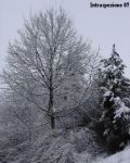 L'inverno