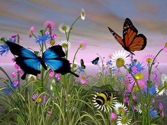 Or non pi� Butterfly volava