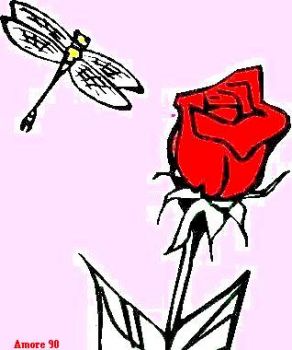 Leggendo il cuore