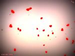 Perch� l'amore non corre
