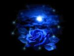 Blu d'amor