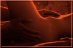Dove il piacere � urlo  