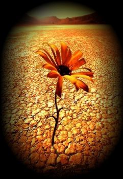 Non desiderare � l'unica perfezione  