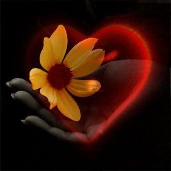Vivere poesia  