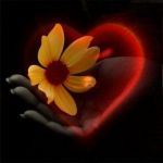 Vivere poesia  