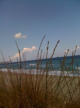 Inchino al mare  