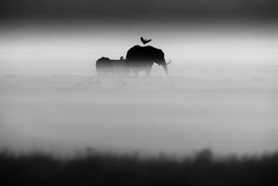 Il Soffio della Terra