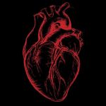 Il cuore � una savana