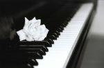 Piano Dolce