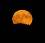 Notti di luna piena