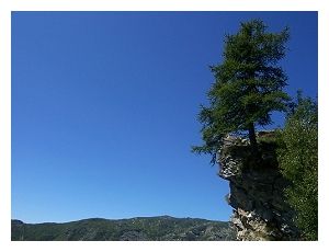 L'ultimo passo  