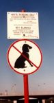 Non amare la donna bianca!
