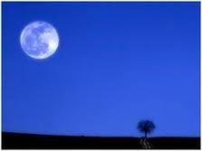 Occasioni