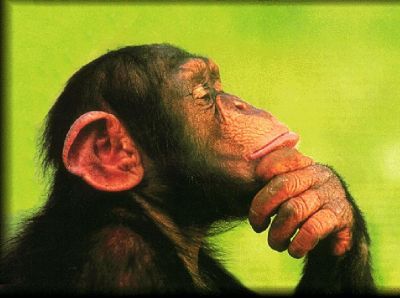 Il pelo nell'uomo  