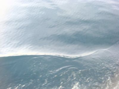 Sirene