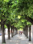 Sul viale