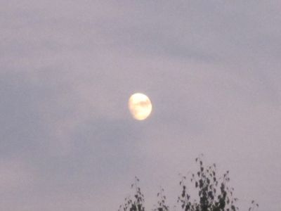 Amore lunatico