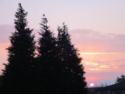 Le ombre  