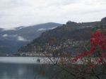 Il lago scuro  