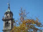 Fiorisce al cielo