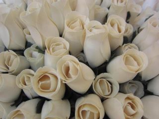 Rose d'amore
